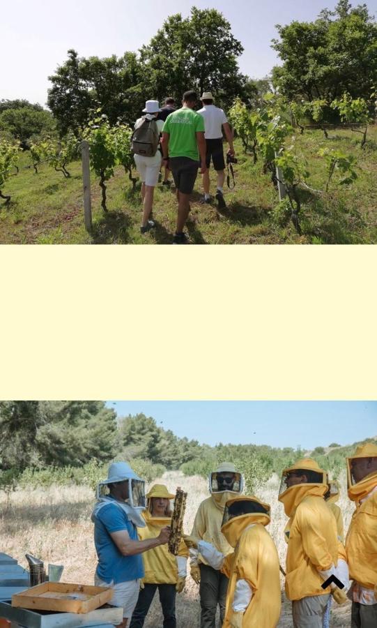 Casa Vacanza Kruptai 2019 Villa Grottole Exterior foto
